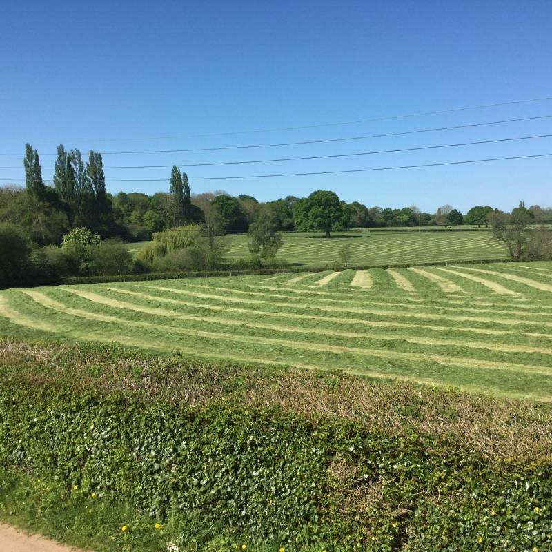 Neighbouring fields