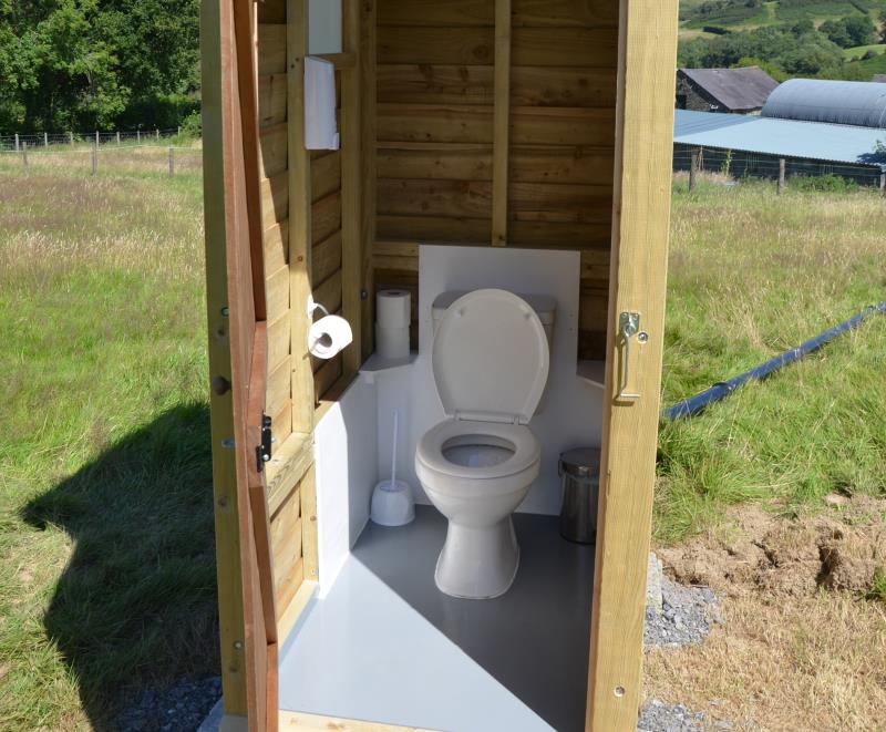 Flushing toilet