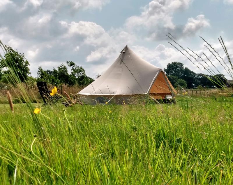 Daisy Bell - Bell tent