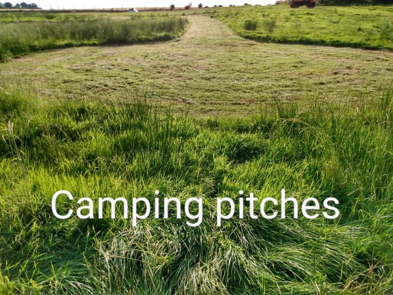 Spacious camping pitches