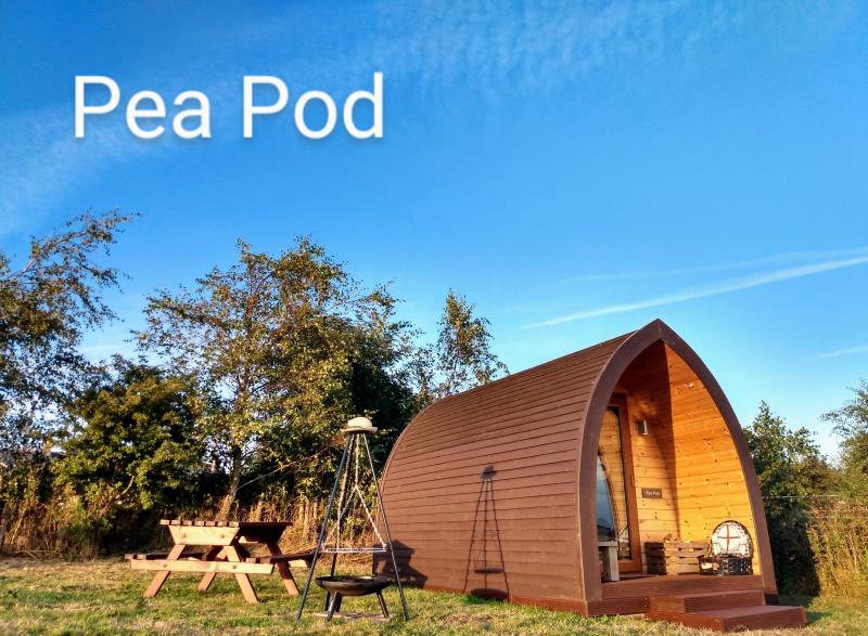 Our camping pod
