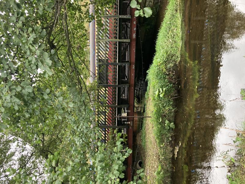 See the steam trains pulling in and out of the station from Tin and Canvas