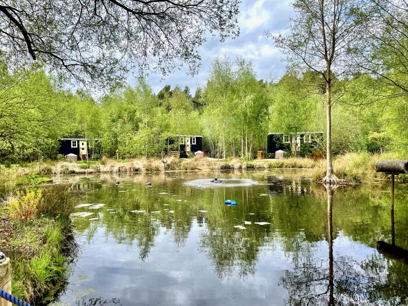 Luxury Shepherd Huts daytime